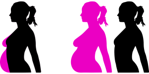 pregnancy, pregnant, motherhood, mother, reproduction, cycle, woman, months, profile, lady, female, belly, breasts, fertility, ovulation, gynecology, baby, birth, reproductive, parent, reproduce, conceive, cut out, pregnancy, pregnancy, pregnancy, pregnancy, pregnancy, pregnant, pregnant, fertility, fertility, ovulation, ovulation, gynecology, reproductive, reproductive
