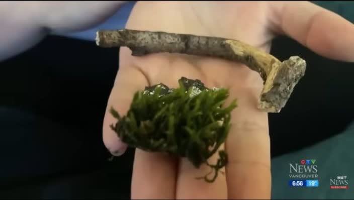 Leah holds a twig and moss in her palm.